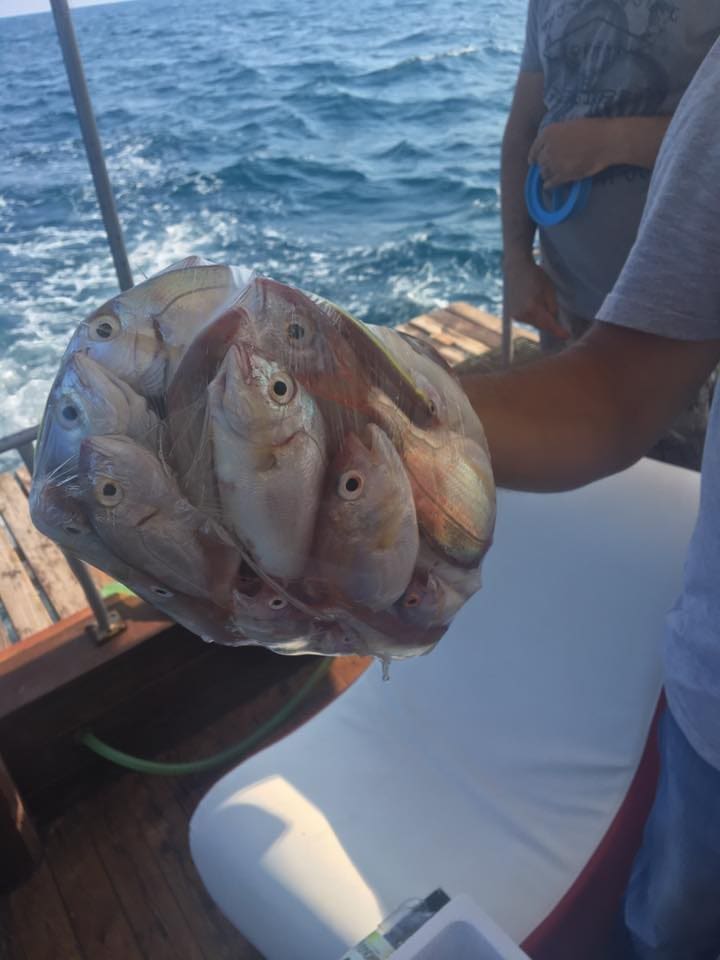 Antalya Balık Avı Turu - Poyraz Paşa Yatçılık