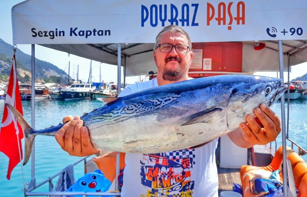 Poyraz Paşa - Jigging Avı (Bonito - Yazılı Orkinos)